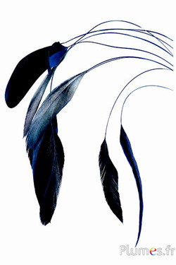 Coquetip - 28-32 cm - blu notte-nero
